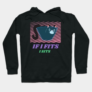 If I FIts, I Sits - Glass Bowl Hoodie